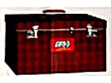Lockable Storage Case