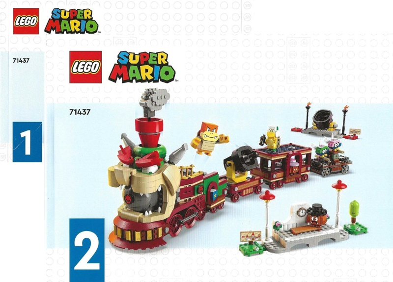 The Bowser Express Train