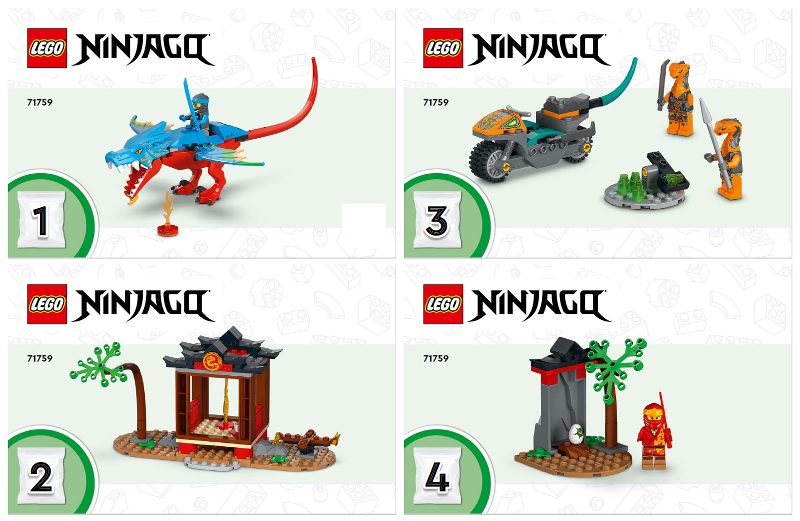 Ninja Dragon Temple image 2