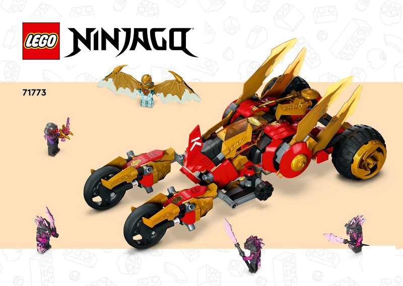Kai's Golden Dragon Raider image 2