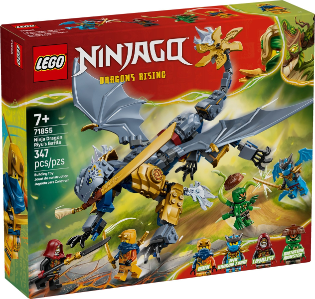 Ninja Dragon Riyu's Battle image 3