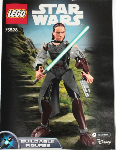 Rey image 3
