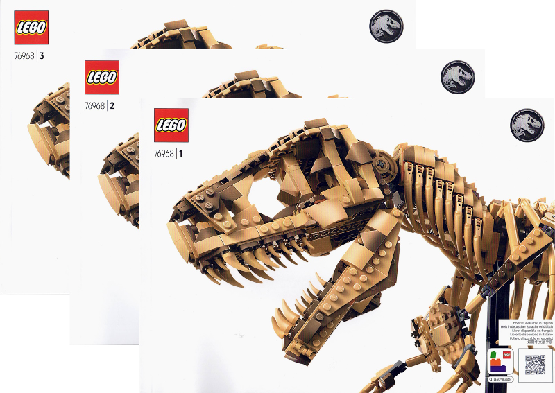 Dinosaur Fossils: Tyrannosaurus Rex image 2
