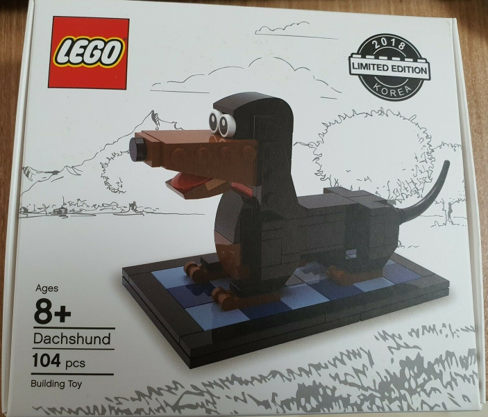 Dachshund image 2