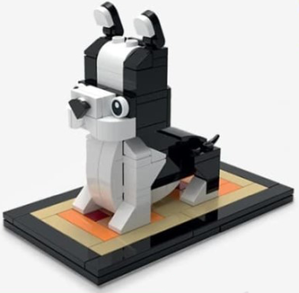 French Bulldog image 2