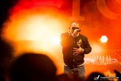 Fotos von Blumentopf, Toni L. und Torch beim Bahnstadt Open Air 2012 in Heidelberg