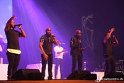 Fotos: Naturally 7 live im Mannheimer Rosengarten