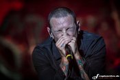 Das eintägige Rock'n'Heim Festival 2015 sorgt für gemischte Gefühle