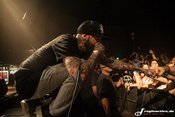Die Premiere des Knockdown Festivals in der Karlsruher Schwarzwaldhalle ist ein voller Erfolg