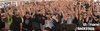 Werde t.act beim Thomann-Sommerfest 2016