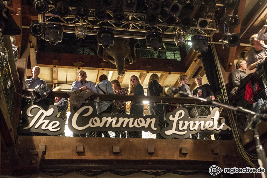 The Common Linnets (live in Hamburg, 2016)