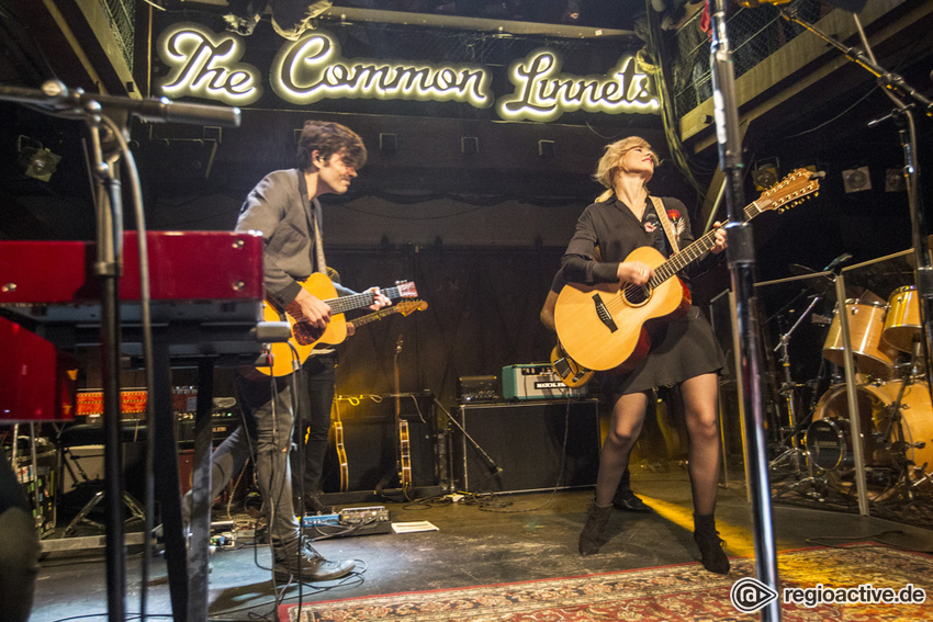 The Common Linnets (live in Hamburg, 2016)