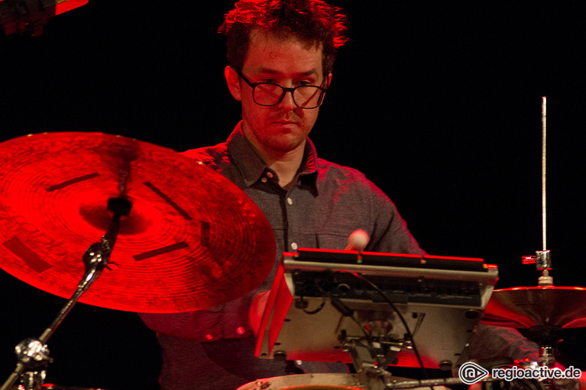 Lambchop (live in Mannheim, 2017)