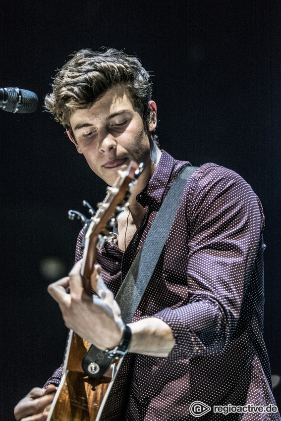 Shawn Mendes (live in Hamburg, 2017)