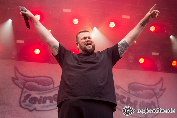 Linksdrehend - Feine Sahne Fischfilet: Fotos der Punkrocker live bei Rock am Ring 2017 