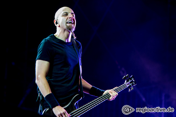 Weitere Termine sollen folgen - System of a Down kündigen "viele Shows in Europa" im Jahr 2020 an 