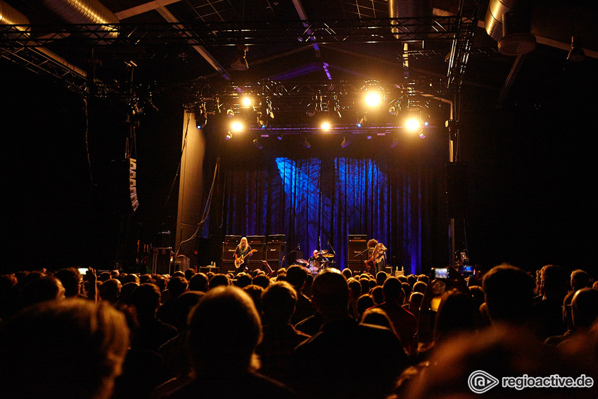 Dinosaur Jr. (live in Wiesbaden, 2017)