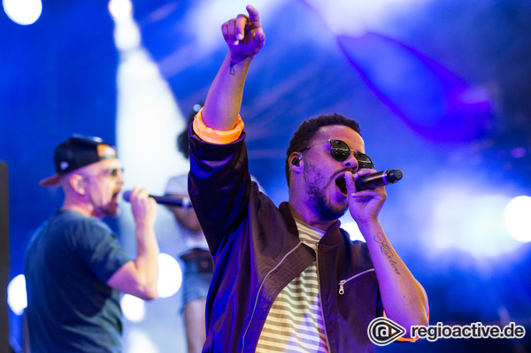 Digge Show - Hamburger Flow: Bilder der Beginner live beim Wireless Festival 2017 