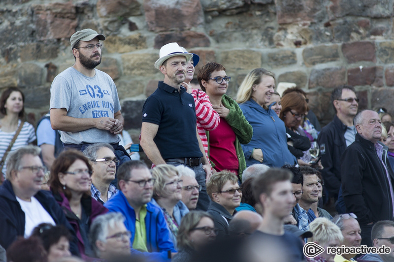 Gregor Meyle (live beim Burgsommer Neuleiningen, 2017)