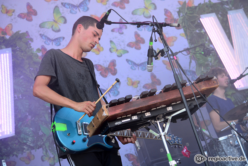 Von Wegen Lisbeth (live beim Happiness Festival, 2017)