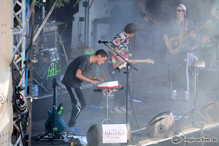 Von Wegen Lisbeth (live beim Happiness Festival, 2017)