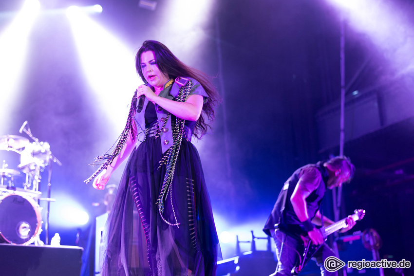 Evanescence (live in Köln, 2017)