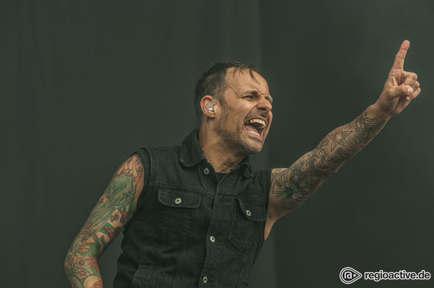 Donots (live beim Deichbrand Festival 2017)