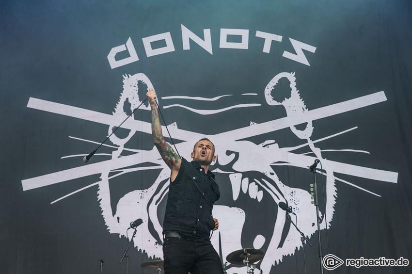 Donots (live beim Deichbrand Festival 2017)