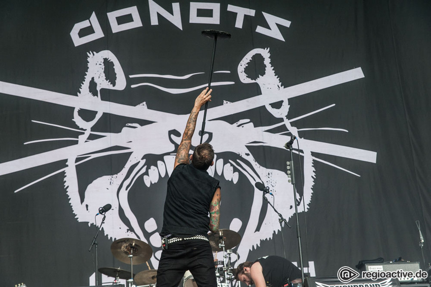 Donots (live beim Deichbrand Festival 2017)