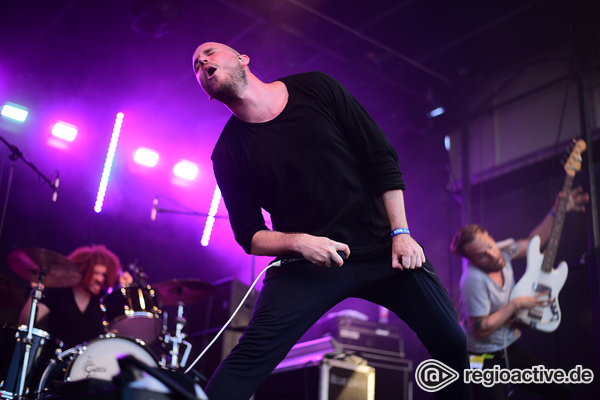 Bis die Saiten reißen - Import aus Island: Livefotos von Agent Fresco beim Trebur Open Air 2017 