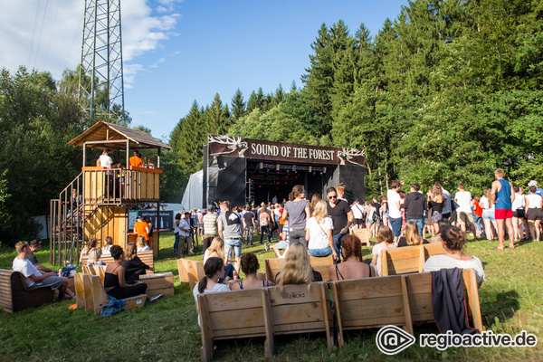 Der Wald ruft - Zurück ins Auenland: So war das Sound of the Forest 2017 