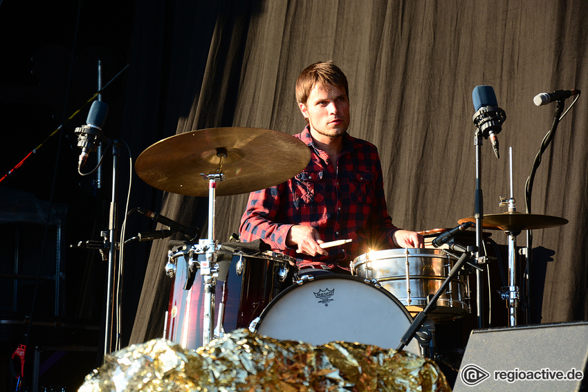 Johannes Falk (live in Schwetzingen, 2017)