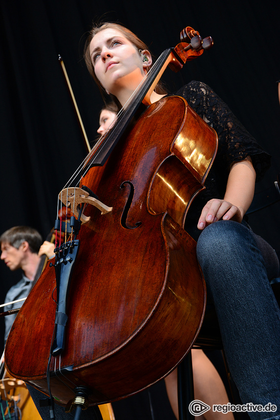 Philipp Poisel (live in Schwetzingen, 2017)