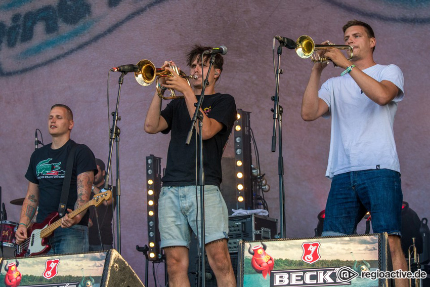 Feine Sahne Fischfilet (live auf dem Highfield, 2017)