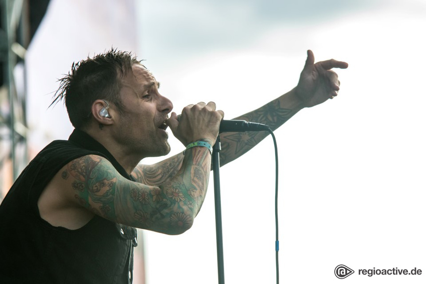 Donots (live auf dem Highfield, 2017)