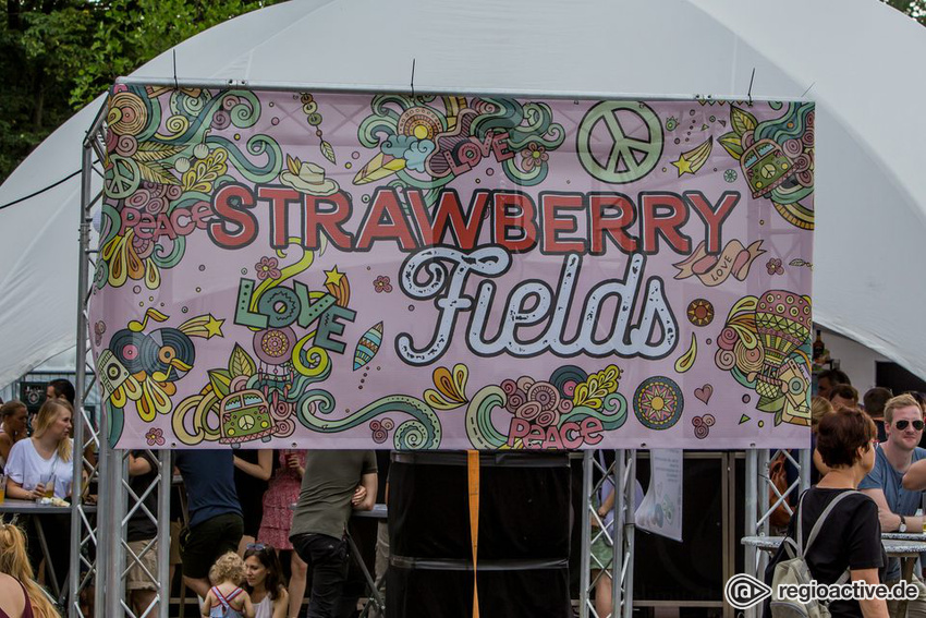 Impressionen vom Museumsuferfest Frankfurt 2017