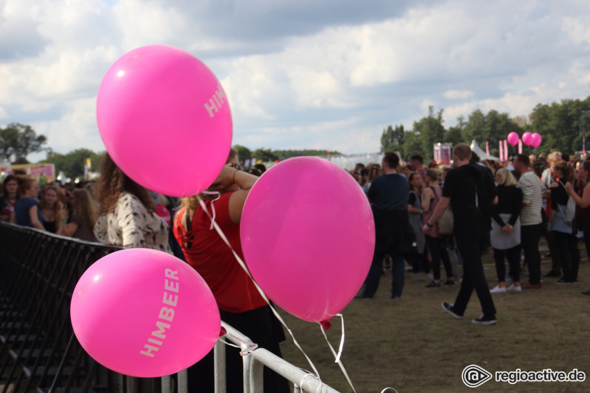 Impressionen vom Lollapalooza 2017