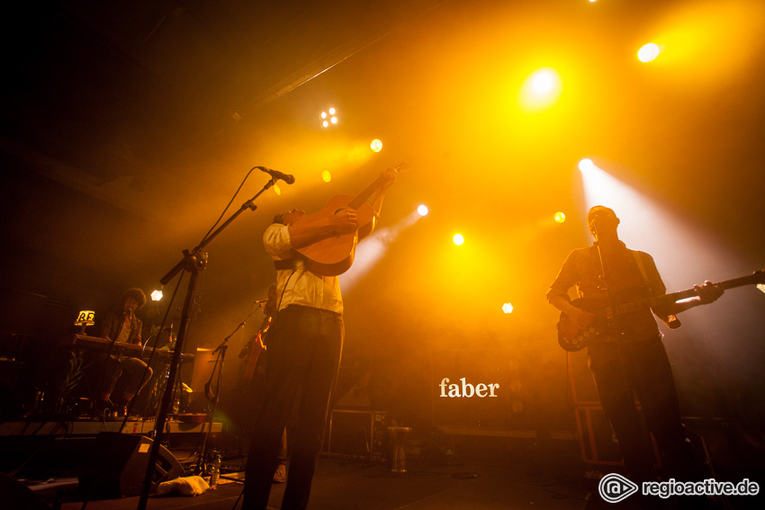 Faber (live in Stuttgart 2017)