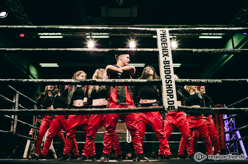 Impressionen von der Fight Night 2017 in Mannheim