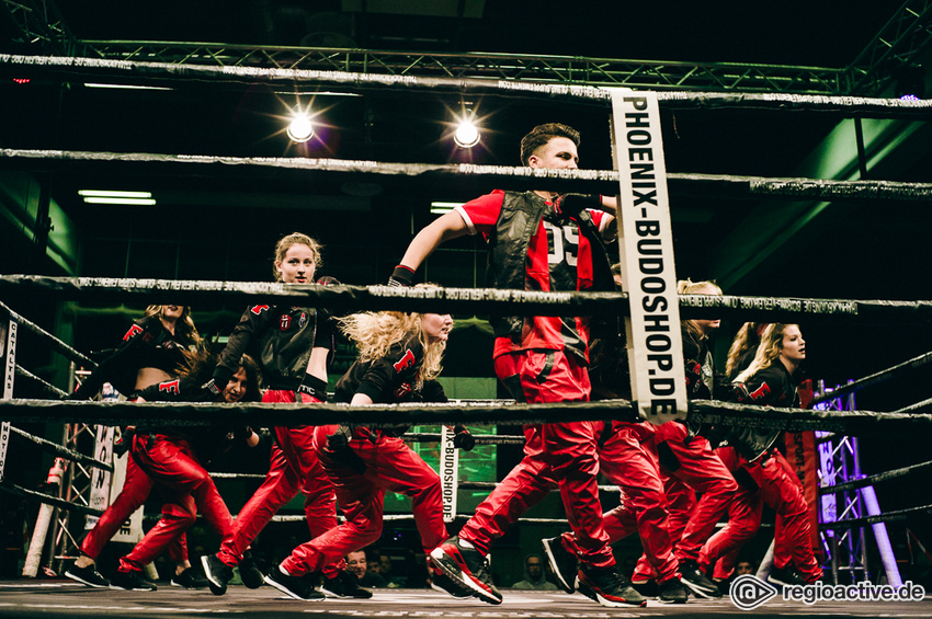 Impressionen von der Fight Night 2017 in Mannheim