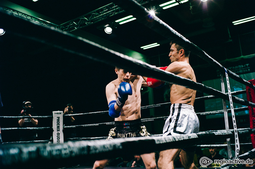 C-Klasse Kämpfe der Fightnight Mannheim