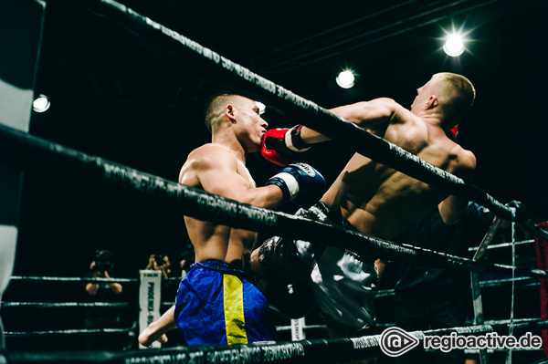 Hochklassig - Harter Fight: Fotos von Otterbein vs Mohamadi bei der Fight Night 2017 in Mannheim 