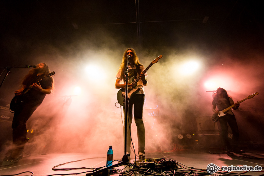 Alcest (live in Frankfurt, 2017)