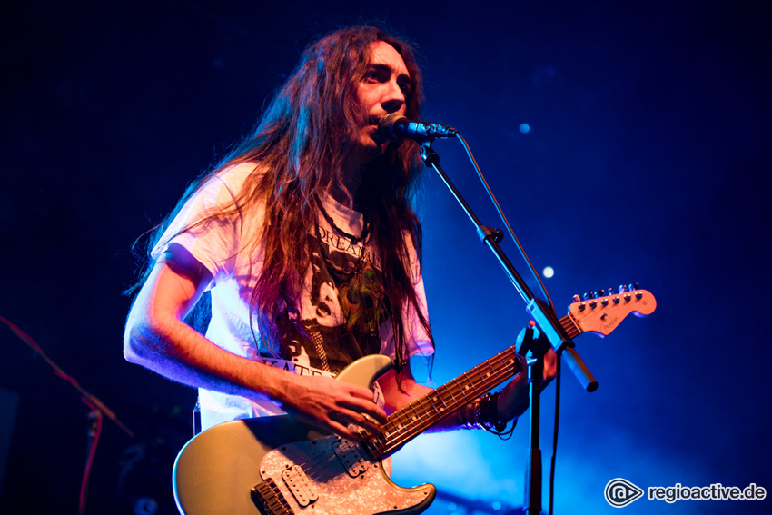 Alcest (live in Frankfurt, 2017)