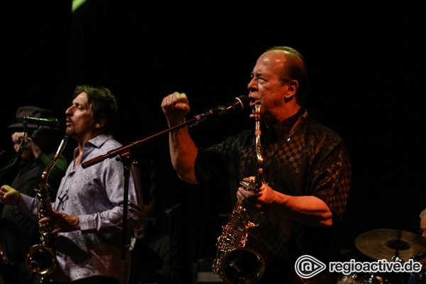 50 Jahre Vollgas - Tower Of Power lassen im Frankfurter Hof in Mainz den Funk überspringen 