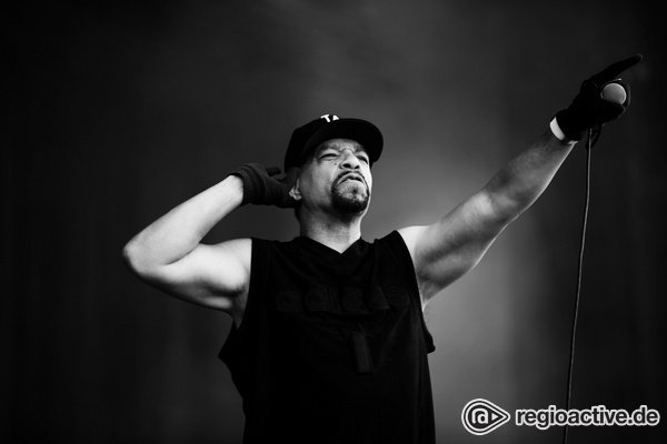 Nehmen kein Blatt vor den Mund - Kultig: Live-Fotos von Body Count bei Rock im Park 