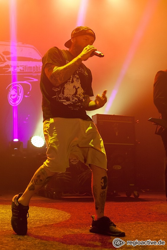 Limp Bizkit (live in Mannheim 2018)