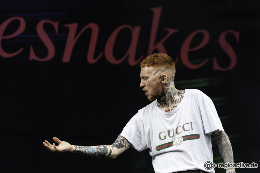 Frank Carter & the Rattlesnakes (live beim Hurricane Festival, 2018)