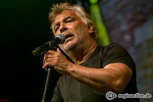 Könige des Flamenco-Pops - Feurig: Fotos von The Gipsy Kings live beim Da Capo Festival in Alzey 