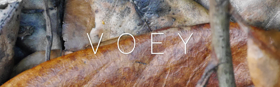 VOEY